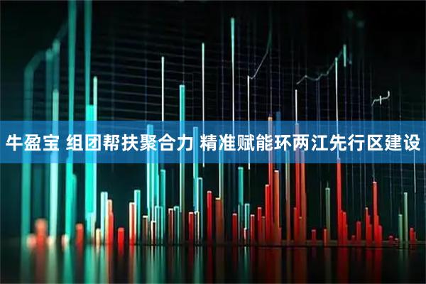 牛盈宝 组团帮扶聚合力 精准赋能环两江先行区建设