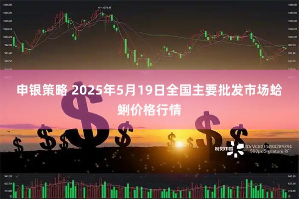 申银策略 2025年5月19日全国主要批发市场蛤蜊价格行情