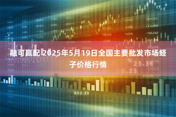 融可赢配 2025年5月19日全国主要批发市场蛏子价格行情