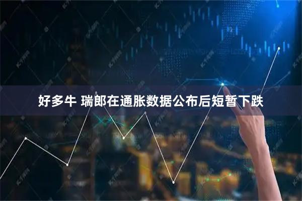 好多牛 瑞郎在通胀数据公布后短暂下跌