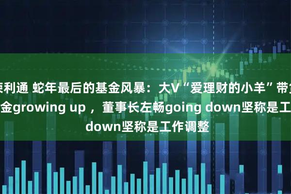 荣利通 蛇年最后的基金风暴：大V“爱理财的小羊”带货德邦基金growing up ，董事长左畅going down坚称是工作调整