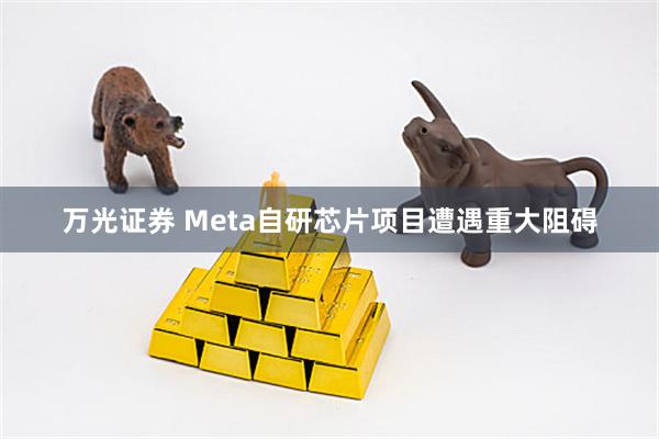 万光证券 Meta自研芯片项目遭遇重大阻碍