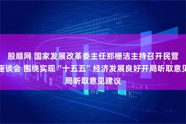 股顺网 国家发展改革委主任郑栅洁主持召开民营企业座谈会 围绕实现“十五五”经济发展良好开局听取意见建议