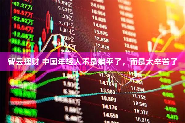 智云理财 中国年轻人不是躺平了，而是太辛苦了