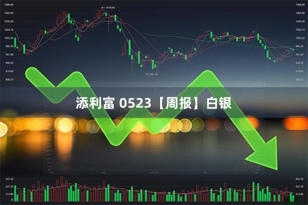添利富 0523【周报】白银