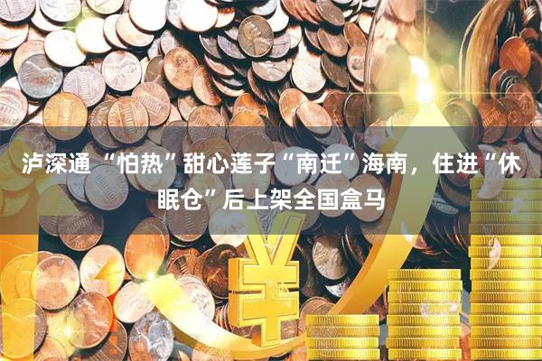 泸深通 “怕热”甜心莲子“南迁”海南,住进“休眠仓”后上架全国盒马